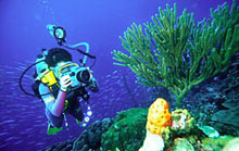 Activities on the island