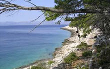 Beaches and coves near camp Mindel