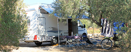 Cam Mindel general information